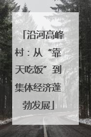 沿河高峰村：从“靠天吃饭”到集体经济蓬勃发展
