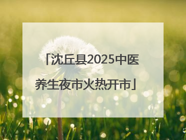 沈丘县2025中医养生夜市火热开市