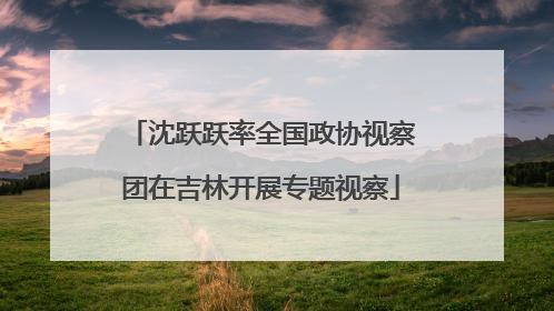 沈跃跃率全国政协视察团在吉林开展专题视察