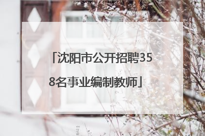 沈阳市公开招聘358名事业编制教师