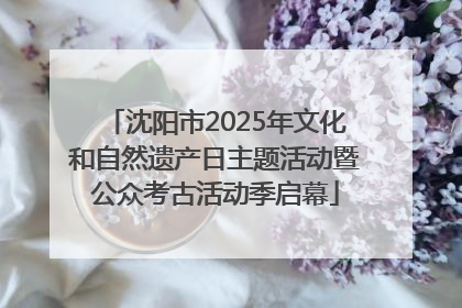 沈阳市2025年文化和自然遗产日主题活动暨公众考古活动季启幕