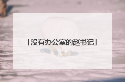 没有办公室的赵书记
