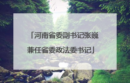 河南省委副书记张巍兼任省委政法委书记