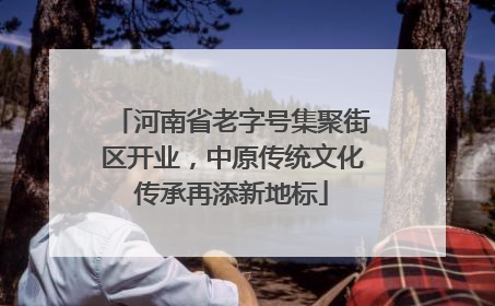 河南省老字号集聚街区开业，中原传统文化传承再添新地标