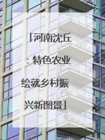河南沈丘：特色农业绘就乡村振兴新图景