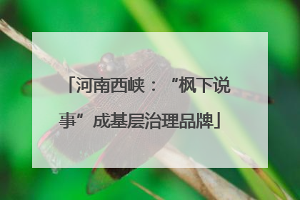 河南西峡：“枫下说事”成基层治理品牌