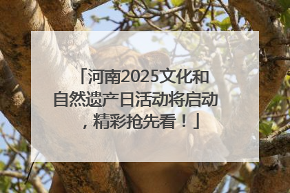 河南2025文化和自然遗产日活动将启动，精彩抢先看！