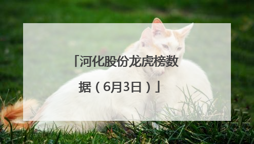 河化股份龙虎榜数据（6月3日）