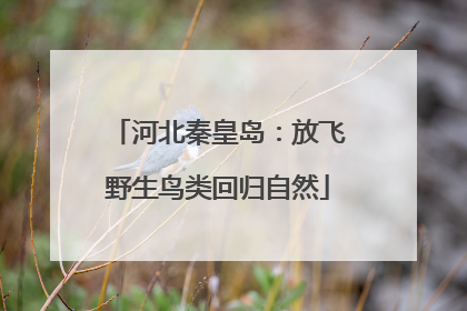 河北秦皇岛：放飞野生鸟类回归自然