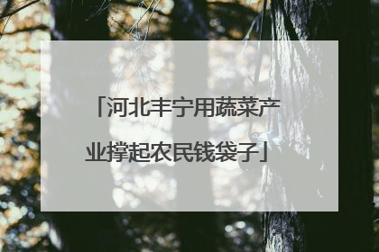 河北丰宁用蔬菜产业撑起农民钱袋子