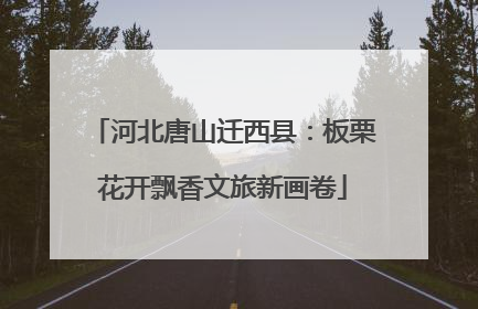 河北唐山迁西县：板栗花开飘香文旅新画卷