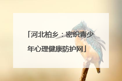 河北柏乡：密织青少年心理健康防护网