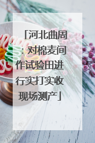 河北曲周：对棉麦间作试验田进行实打实收现场测产