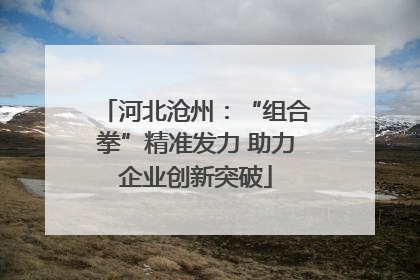 河北沧州：“组合拳”精准发力 助力企业创新突破