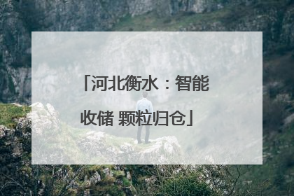 河北衡水：智能收储 颗粒归仓