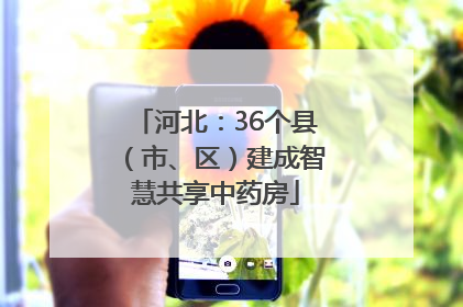 河北：36个县（市、区）建成智慧共享中药房