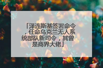 泽连斯基签署命令，任命乌克兰无人系统部队新司令，其曾是商界大佬