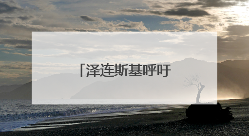 泽连斯基呼吁与特朗普、普京举行三方会谈，美俄暂未回应