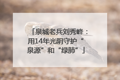 泉城老兵刘秀峰：用14年光阴守护“泉源”和“绿肺”