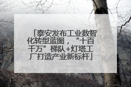 泰安发布工业数智化转型蓝图，“十百千万”梯队+灯塔工厂打造产业新标杆