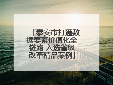 泰安市打通数据要素价值化全链路 入选省级改革精品案例
