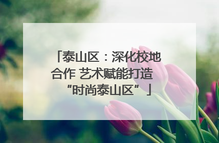 泰山区：深化校地合作 艺术赋能打造“时尚泰山区”
