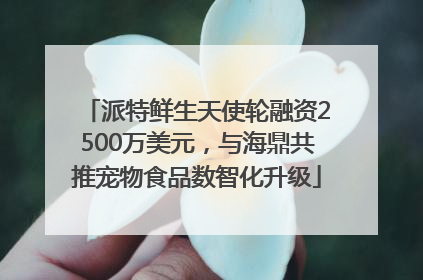 派特鲜生天使轮融资2500万美元，与海鼎共推宠物食品数智化升级