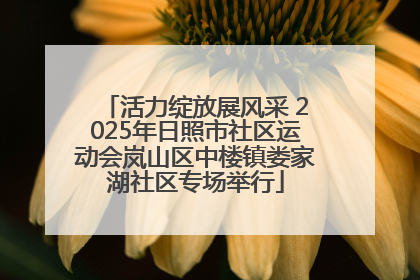 活力绽放展风采 2025年日照市社区运动会岚山区中楼镇娄家湖社区专场举行