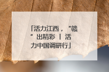 活力江西，“赣”出精彩 丨 活力中国调研行
