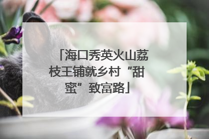 海口秀英火山荔枝王铺就乡村“甜蜜”致富路
