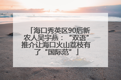 海口秀英区90后新农人吴宇燕：“双语”推介让海口火山荔枝有了“国际范”