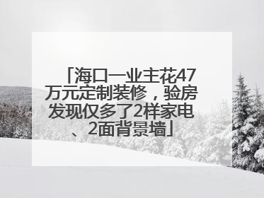 海口一业主花47万元定制装修，验房发现仅多了2样家电、2面背景墙