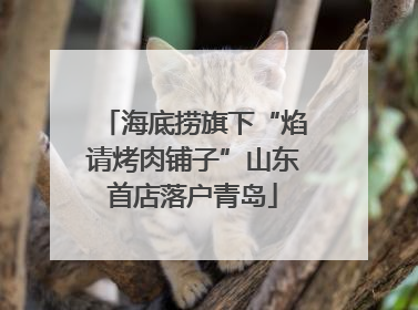 海底捞旗下“焰请烤肉铺子”山东首店落户青岛