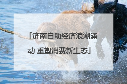 济南自助经济浪潮涌动 重塑消费新生态