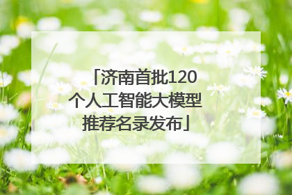 济南首批120个人工智能大模型推荐名录发布
