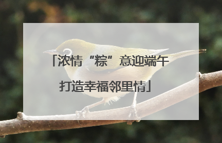 浓情“粽”意迎端午 打造幸福邻里情