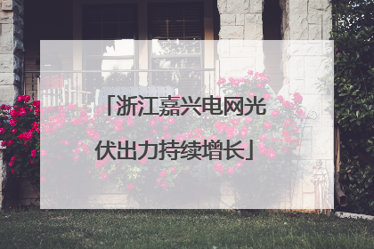浙江嘉兴电网光伏出力持续增长
