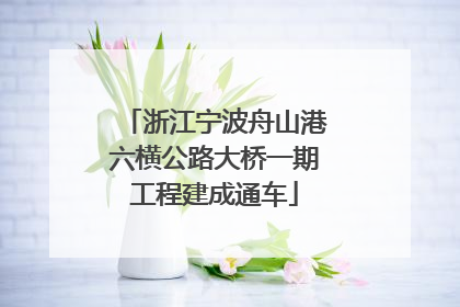 浙江宁波舟山港六横公路大桥一期工程建成通车