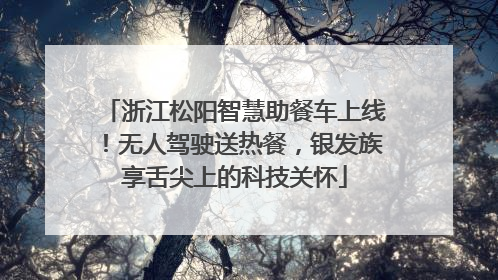 浙江松阳智慧助餐车上线！无人驾驶送热餐，银发族享舌尖上的科技关怀