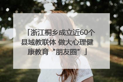 浙江桐乡成立近60个县域教联体 做大心理健康教育“朋友圈”