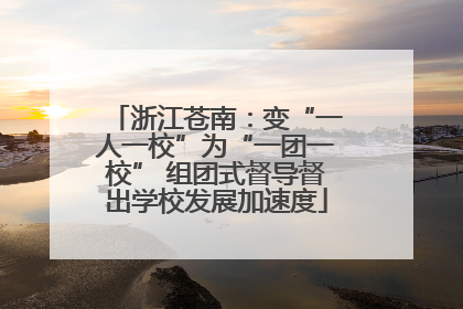 浙江苍南：变“一人一校”为“一团一校” 组团式督导督出学校发展加速度
