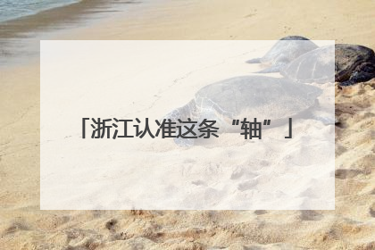浙江认准这条“轴”