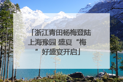浙江青田杨梅登陆上海豫园 盛夏“梅”好盛宴开启