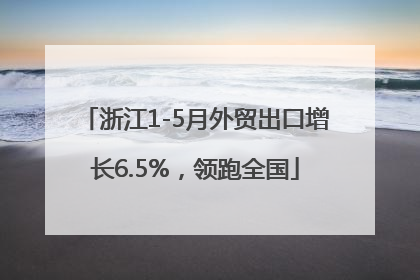 浙江1-5月外贸出口增长6.5%，领跑全国