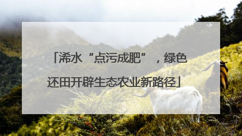 浠水“点污成肥”，绿色还田开辟生态农业新路径