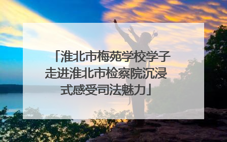 淮北市梅苑学校学子走进淮北市检察院沉浸式感受司法魅力