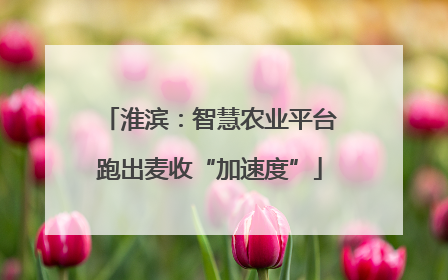 淮滨：智慧农业平台跑出麦收“加速度”