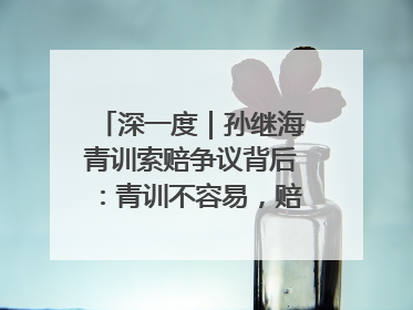 深一度｜孙继海青训索赔争议背后：青训不容易，赔偿可仲裁