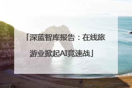 深蓝智库报告：在线旅游业掀起AI竞速战