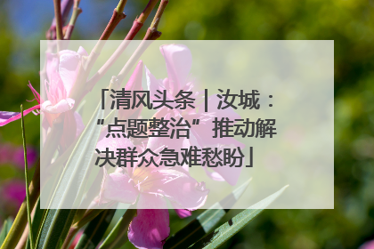 清风头条｜汝城：“点题整治”推动解决群众急难愁盼